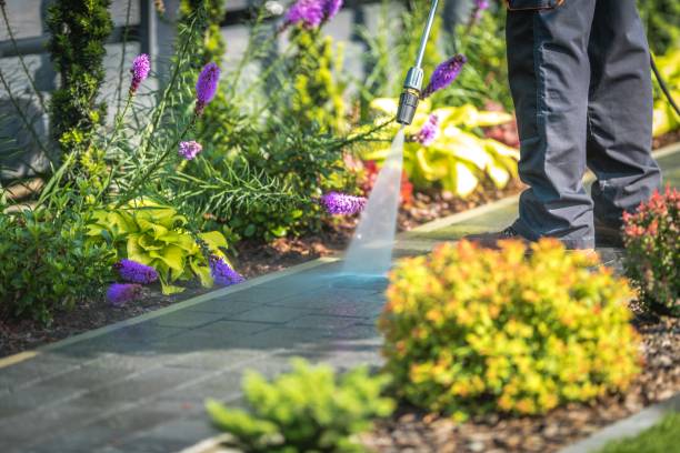  Totowa, NJ Pressure Washing Pros